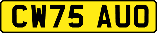 CW75AUO