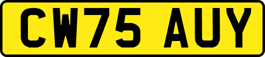 CW75AUY