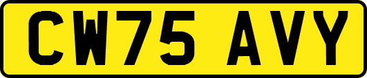 CW75AVY