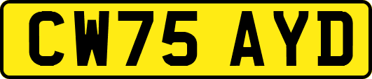 CW75AYD