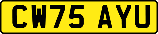 CW75AYU