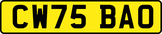 CW75BAO