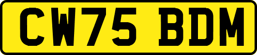 CW75BDM