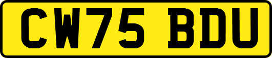 CW75BDU