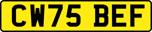 CW75BEF
