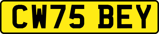 CW75BEY