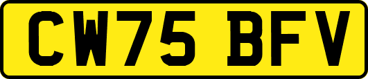CW75BFV