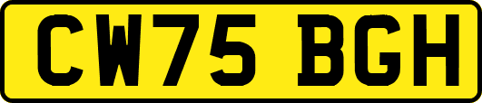 CW75BGH