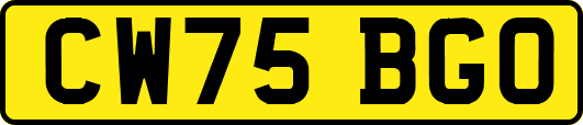 CW75BGO