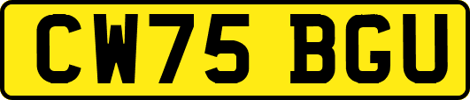 CW75BGU