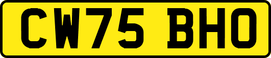 CW75BHO