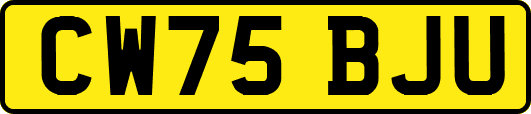 CW75BJU
