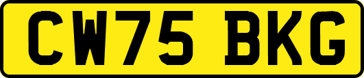 CW75BKG