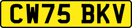 CW75BKV