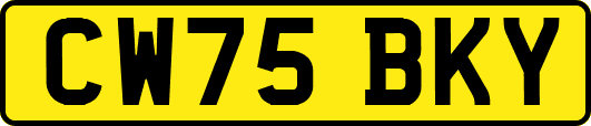 CW75BKY