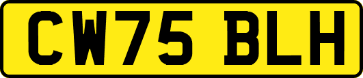 CW75BLH