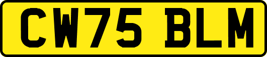 CW75BLM