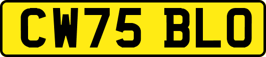 CW75BLO