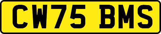 CW75BMS