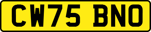CW75BNO