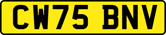 CW75BNV
