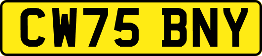 CW75BNY