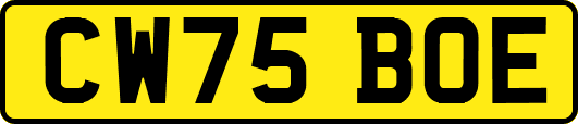 CW75BOE