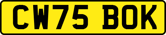 CW75BOK