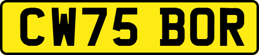 CW75BOR
