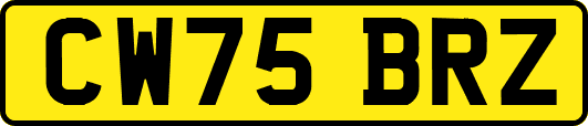 CW75BRZ