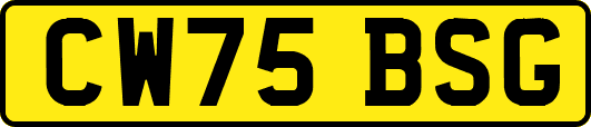 CW75BSG