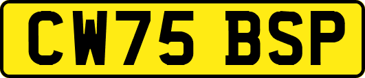 CW75BSP