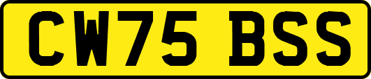 CW75BSS