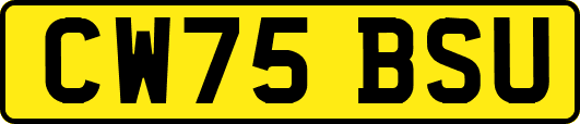 CW75BSU