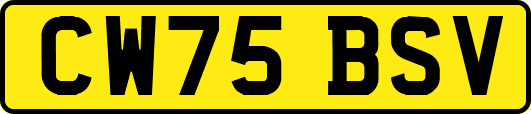 CW75BSV
