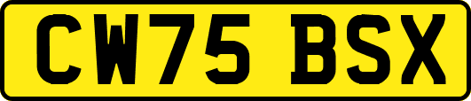 CW75BSX