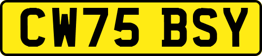 CW75BSY