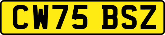 CW75BSZ