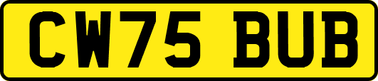 CW75BUB