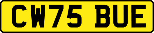 CW75BUE