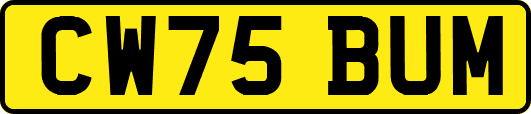 CW75BUM