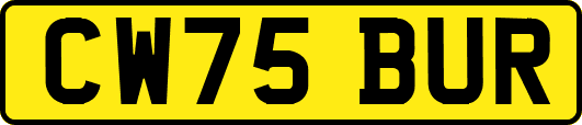 CW75BUR