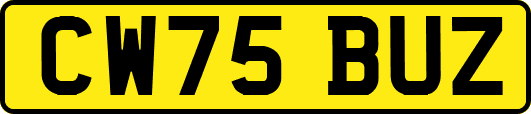 CW75BUZ