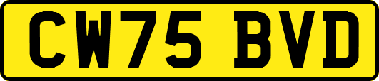 CW75BVD