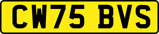 CW75BVS