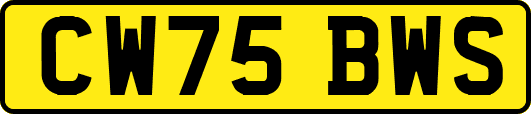 CW75BWS