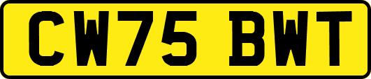 CW75BWT