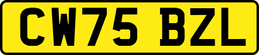 CW75BZL