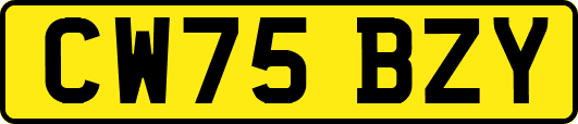 CW75BZY
