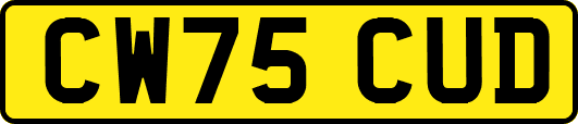 CW75CUD